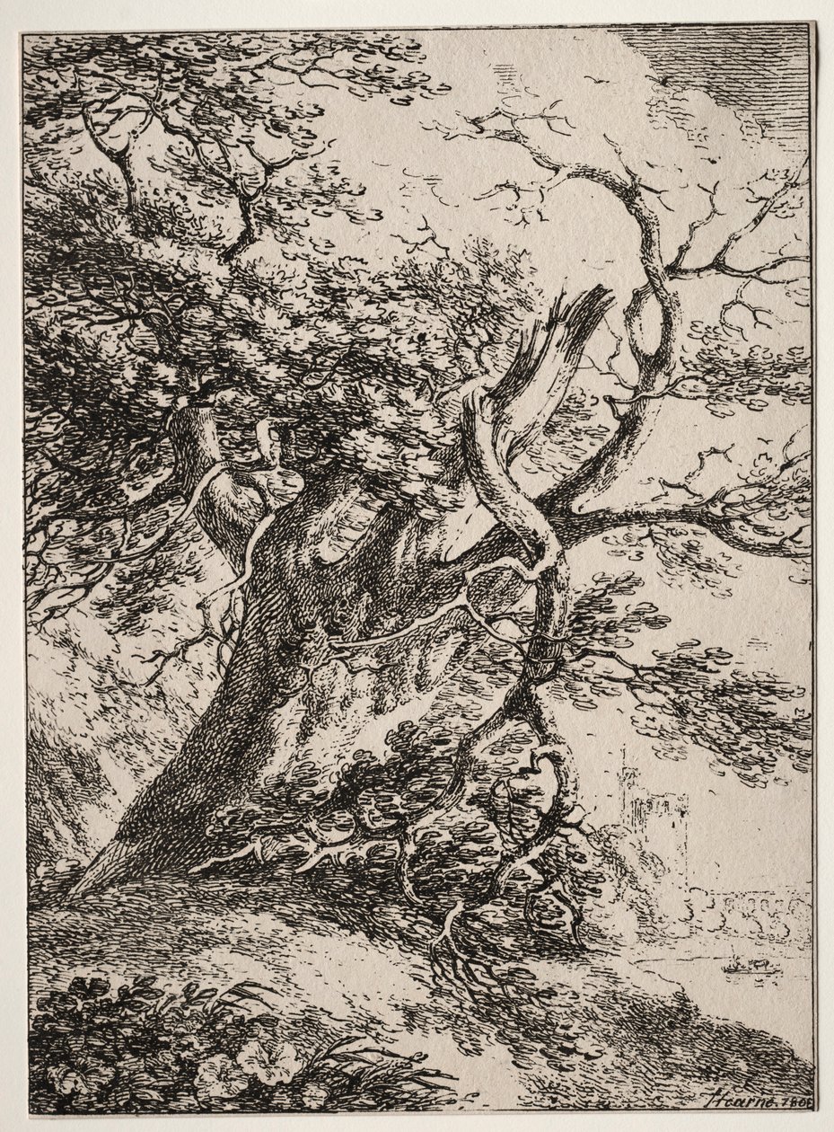 Specimens van Polyautografie: Landschap met een eik, 1803 door Thomas Hearne