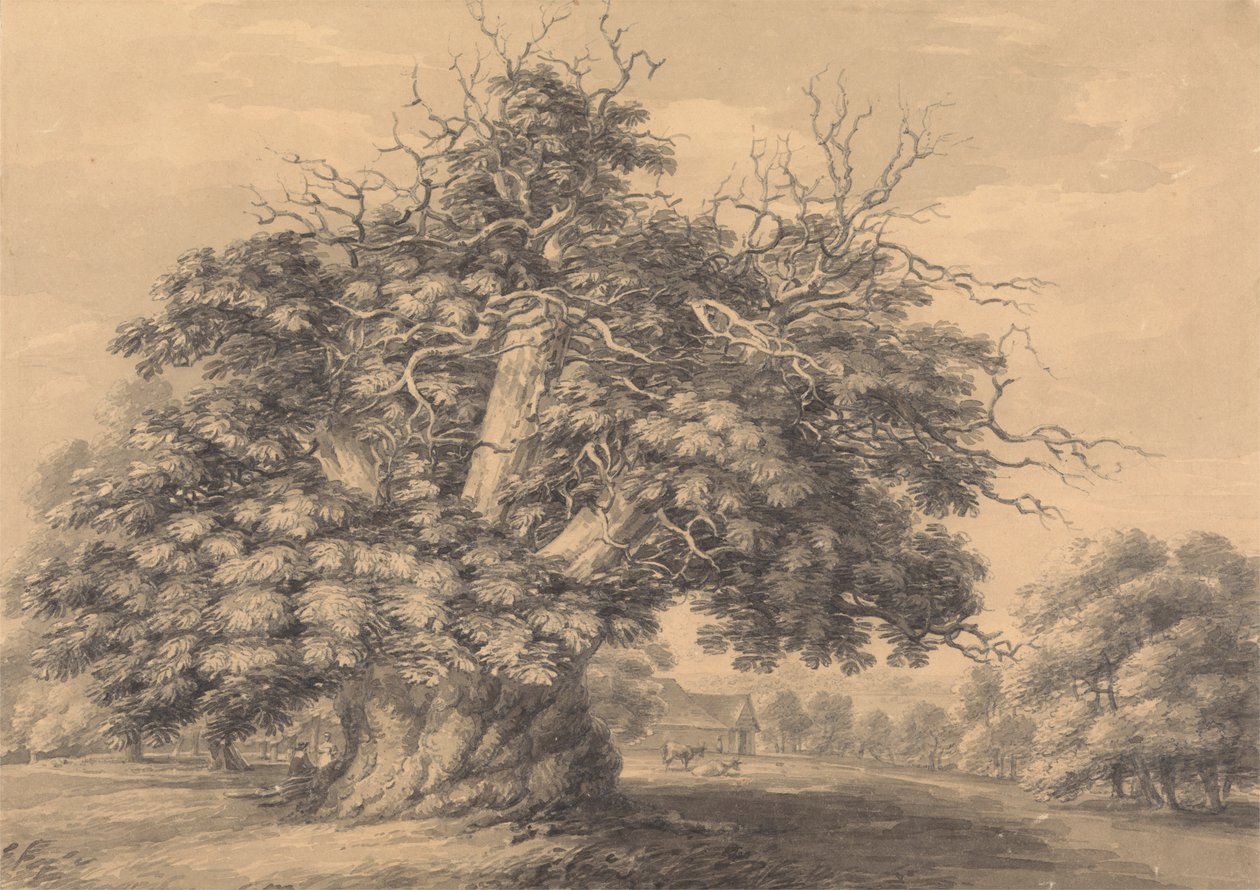 De kastanjeboom bij Little Wymondley, Hertfordshire door Thomas Hearne