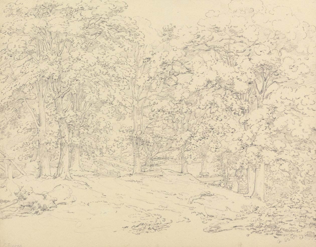 Bomen in Ashtead Park, Surrey door Thomas Hearne