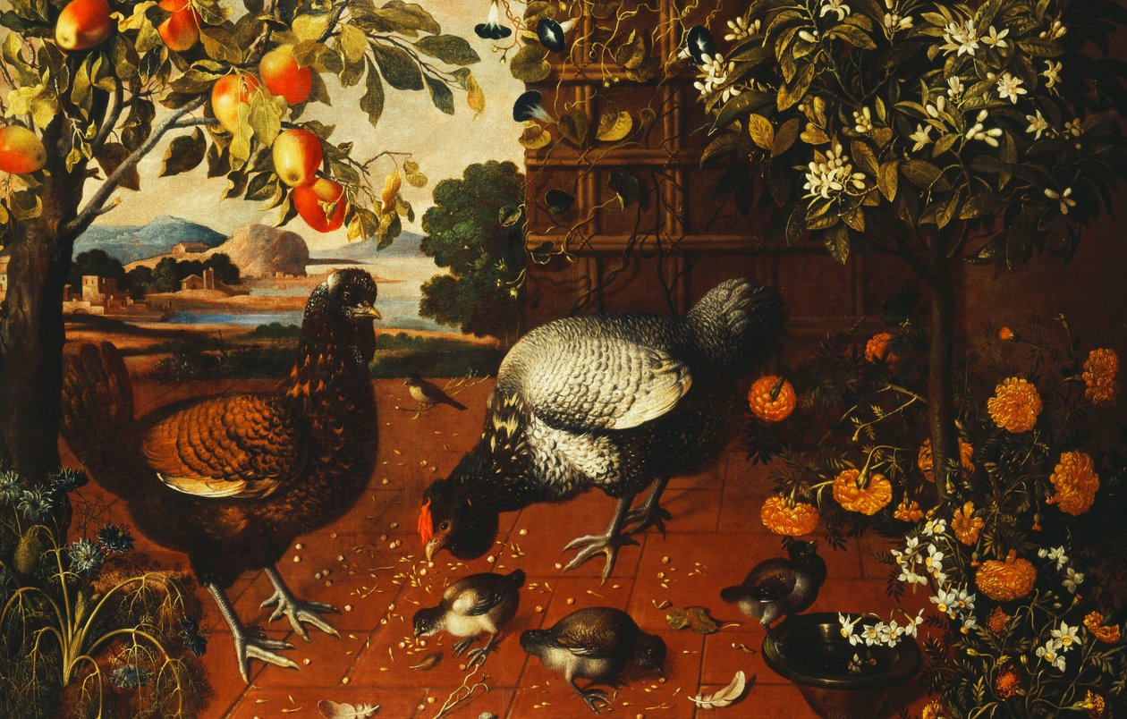 Een haan, een hen en kuikens in een erf door Thomas Hiepes