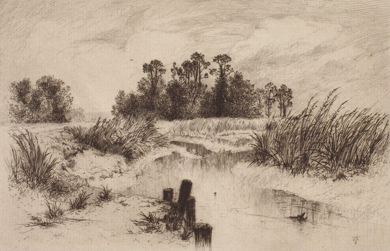 Moerassig landschap met beek door Thomas Moran