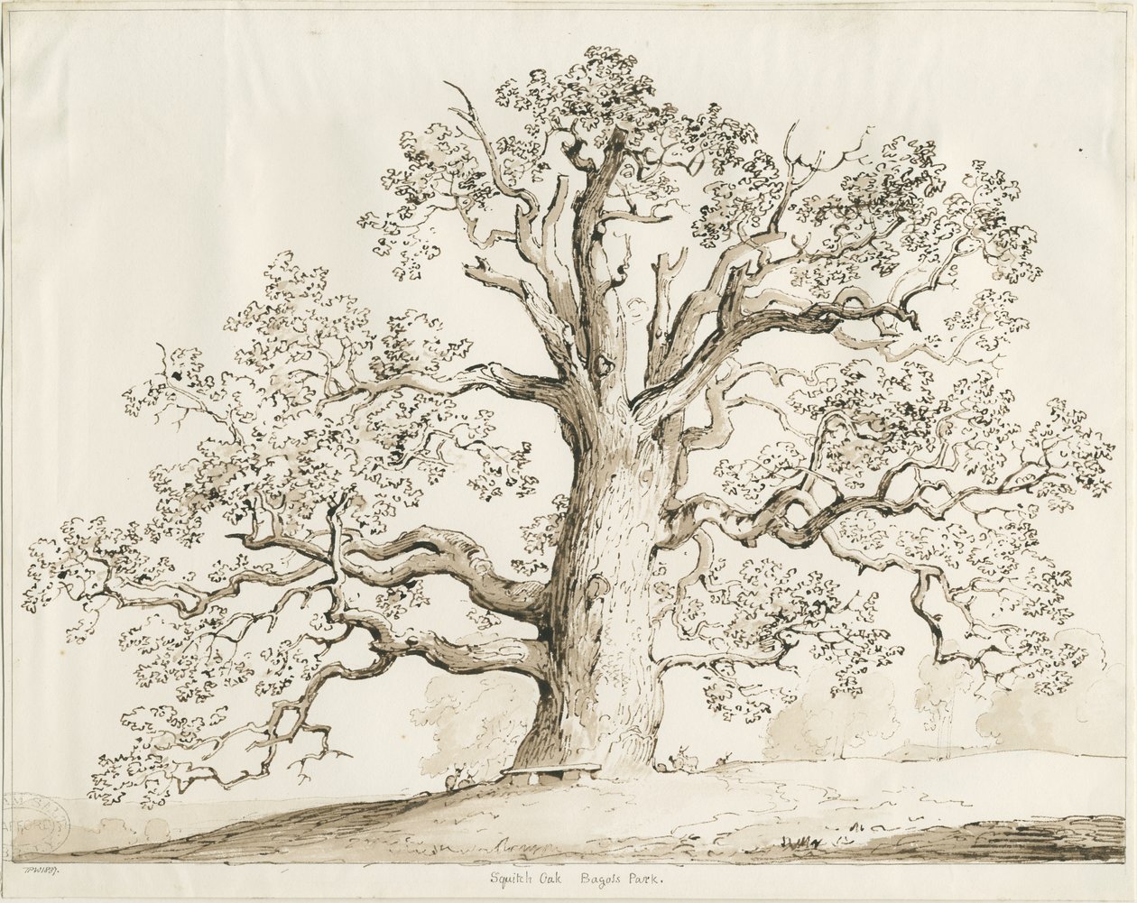 Blithfield - Squitch Eik door Thomas Peploe Wood