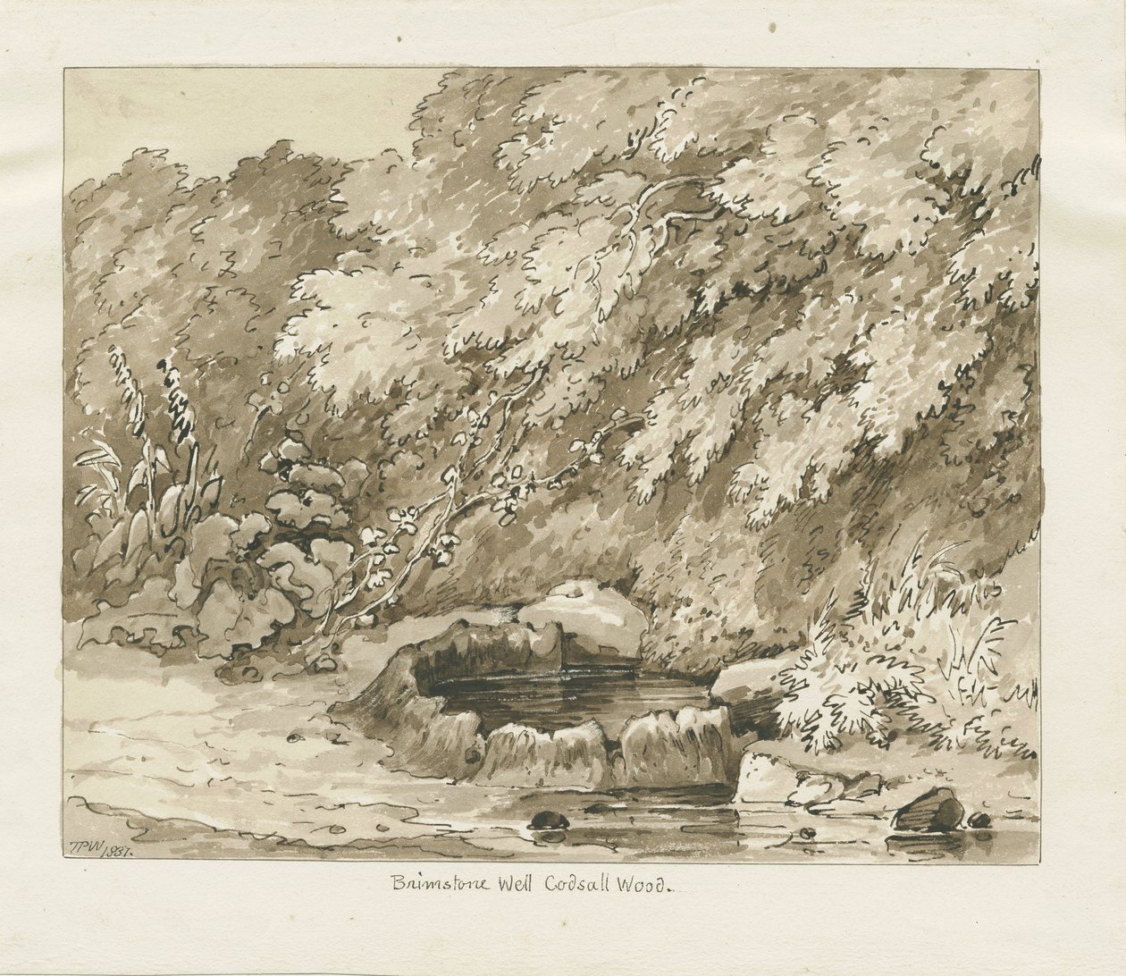 Codsall Wood - Brimstone Well door Thomas Peploe Wood