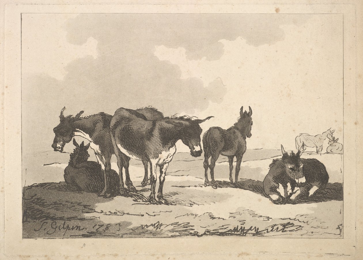 Een groep van vijf ezels, drie staand, twee liggend door Thomas Rowlandson