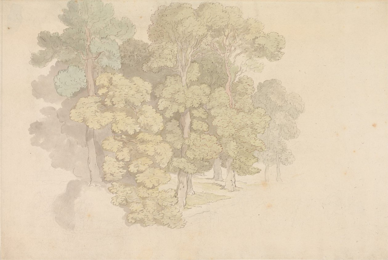 Een groep bomen door Thomas Rowlandson