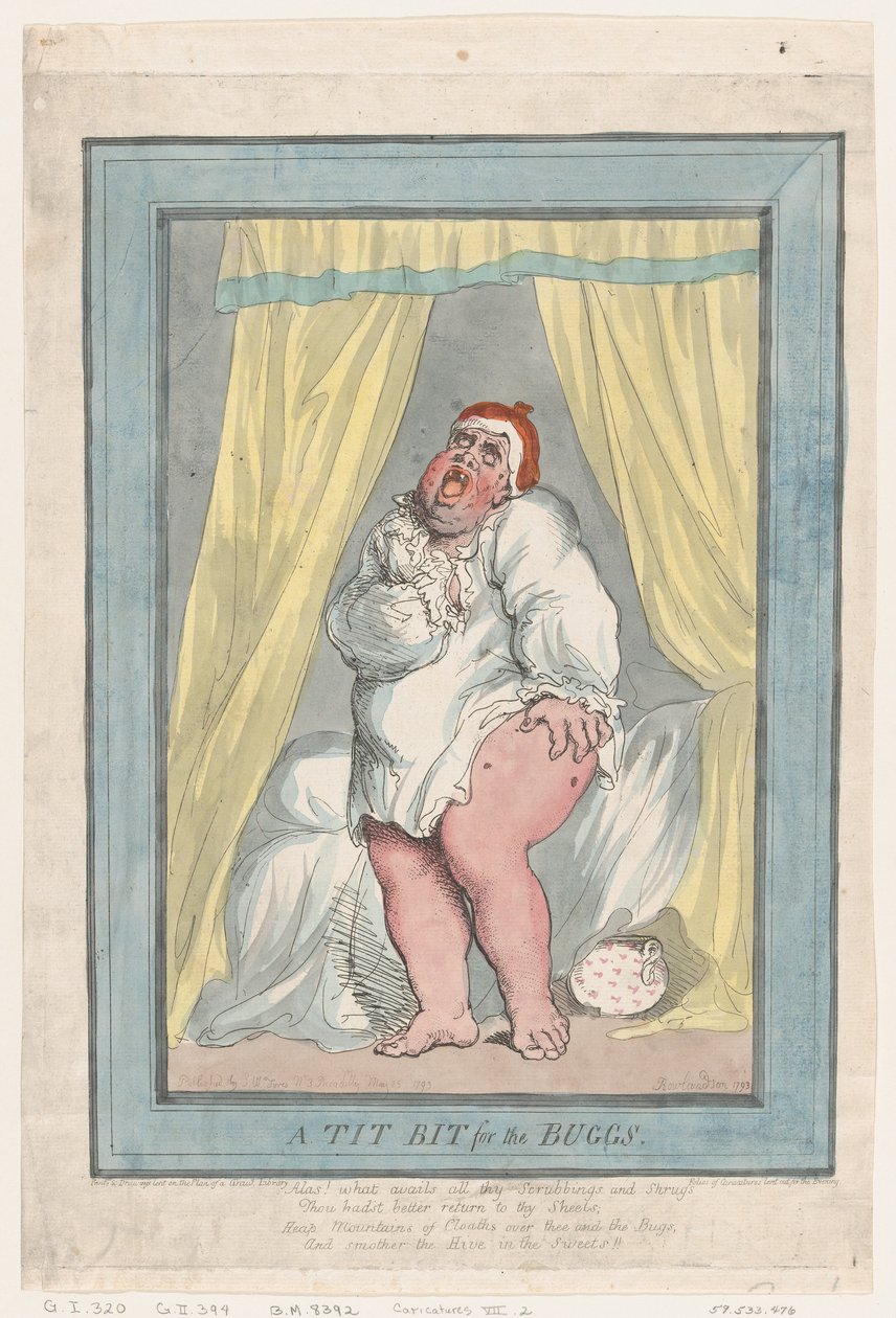 Een Lekker Hapje voor de Insecten door Thomas Rowlandson