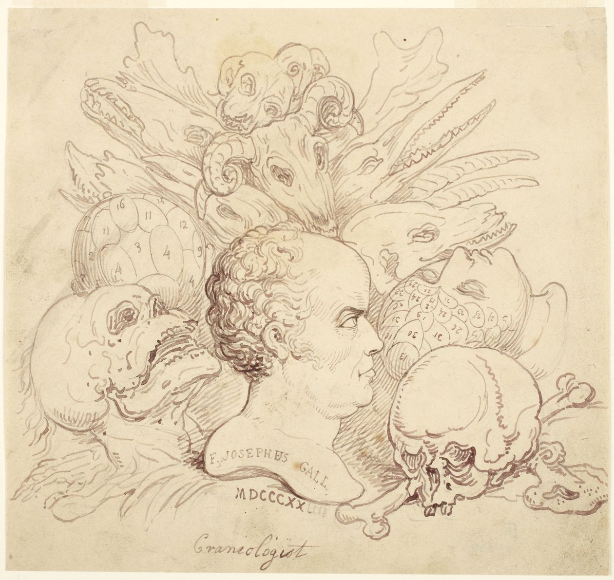 F. Josephus Gall, cranioloog door Thomas Rowlandson