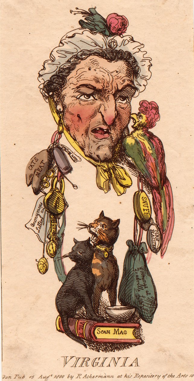Steden: Virginia door Thomas Rowlandson