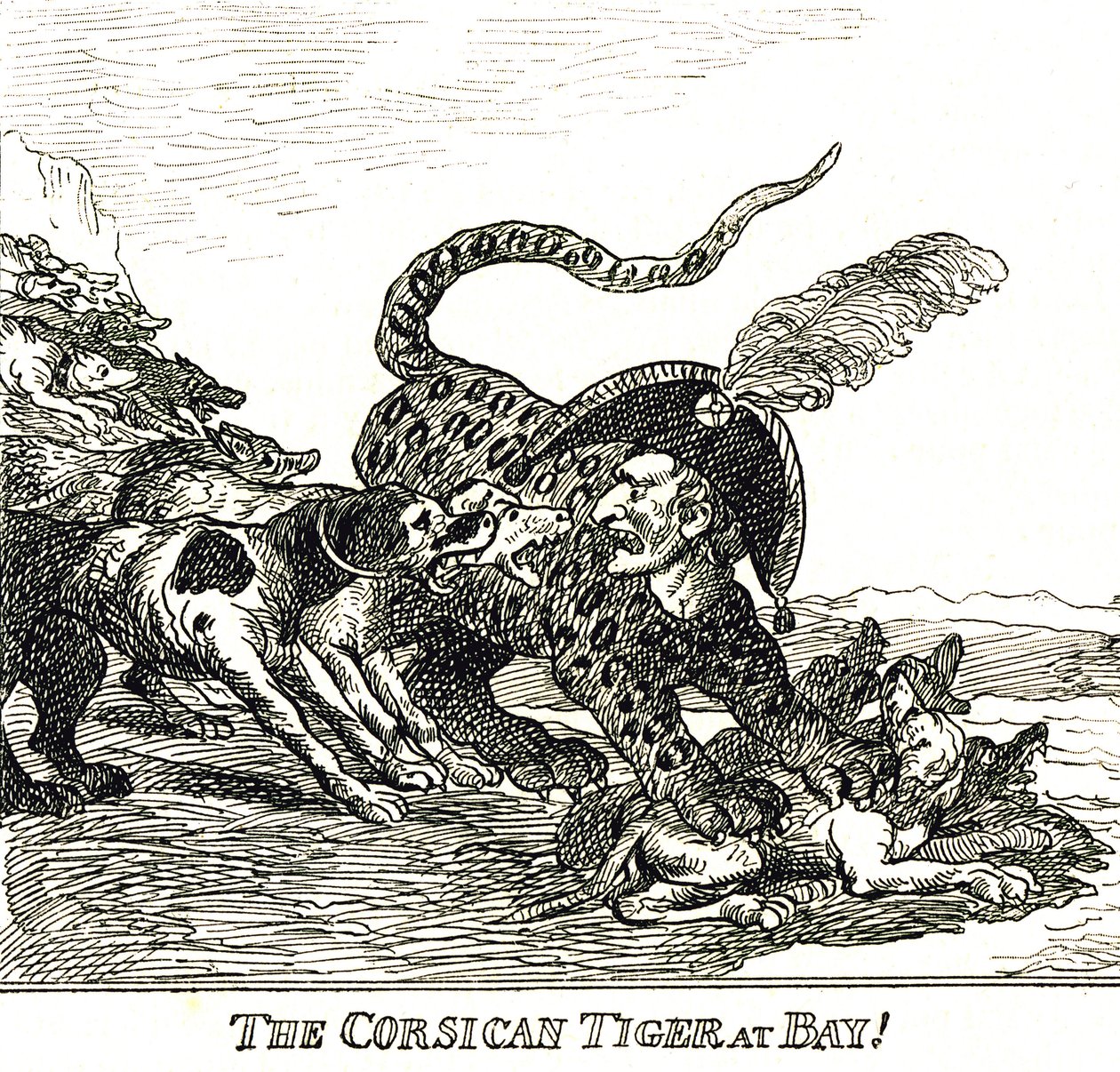 De Gebaarde Corsicaanse Tijger (Napoleon Bonaparte), karikatuur 1808 door Thomas Rowlandson