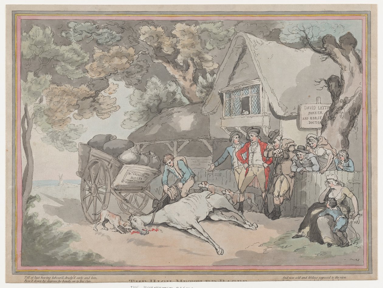 Het trekpaard uit Het leven van een renpaard, of De hoogmoedige racer, 20 juli 1789 door Thomas Rowlandson