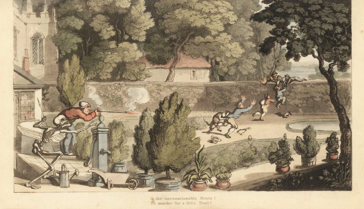 Het skelet van de Dood helpt een landeigenaar richten met een musket op jongens die in zijn tuin stropen en proberen over een muur te vluchten. Handgekleurde kopergravure getekend en gegraveerd door Thomas Rowlandson uit The English Dance of Death, Ackerma door Thomas Rowlandson