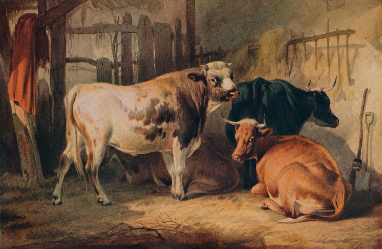 Een stier en drie koeien in een stal, c1856 door Thomas Sidney Cooper