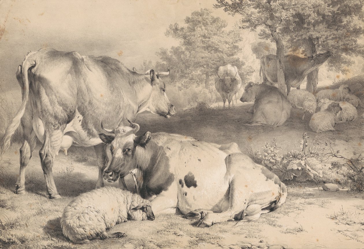 Schapen en runderen door Thomas Sidney Cooper