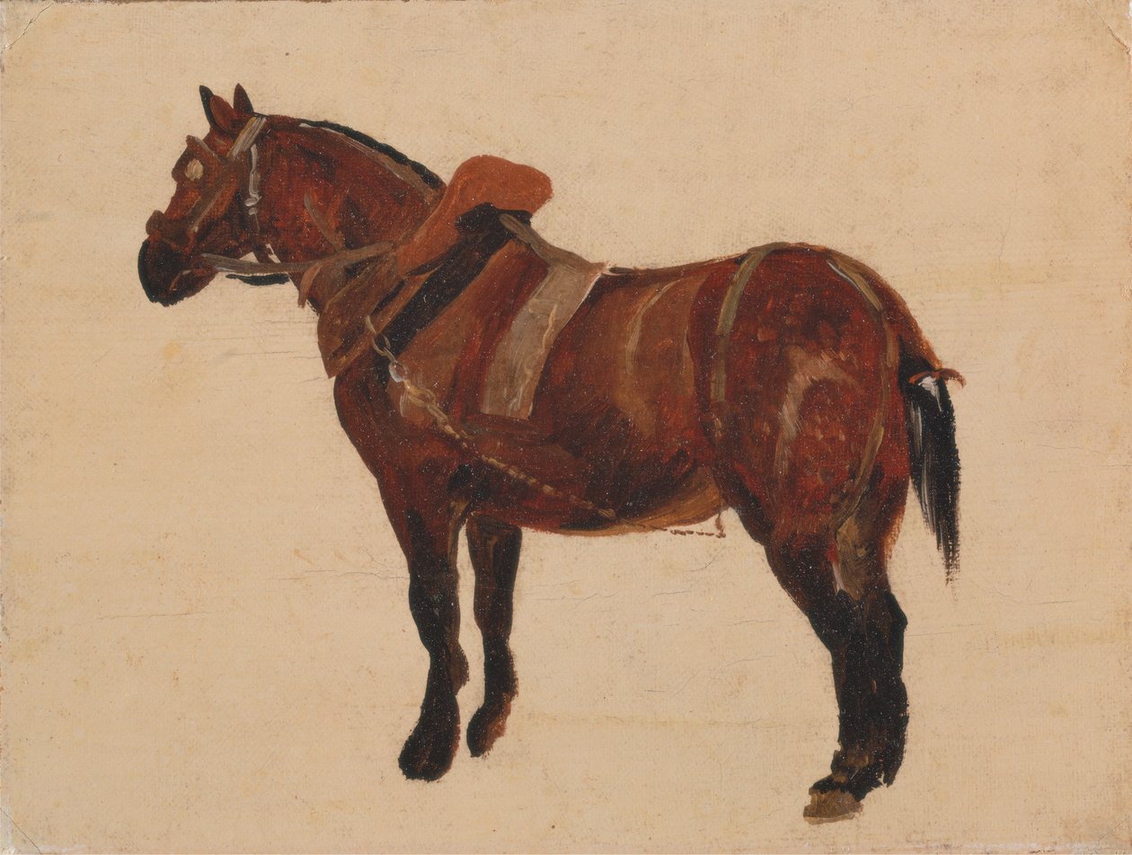 Studie van een werkpaard door Thomas Sidney Cooper
