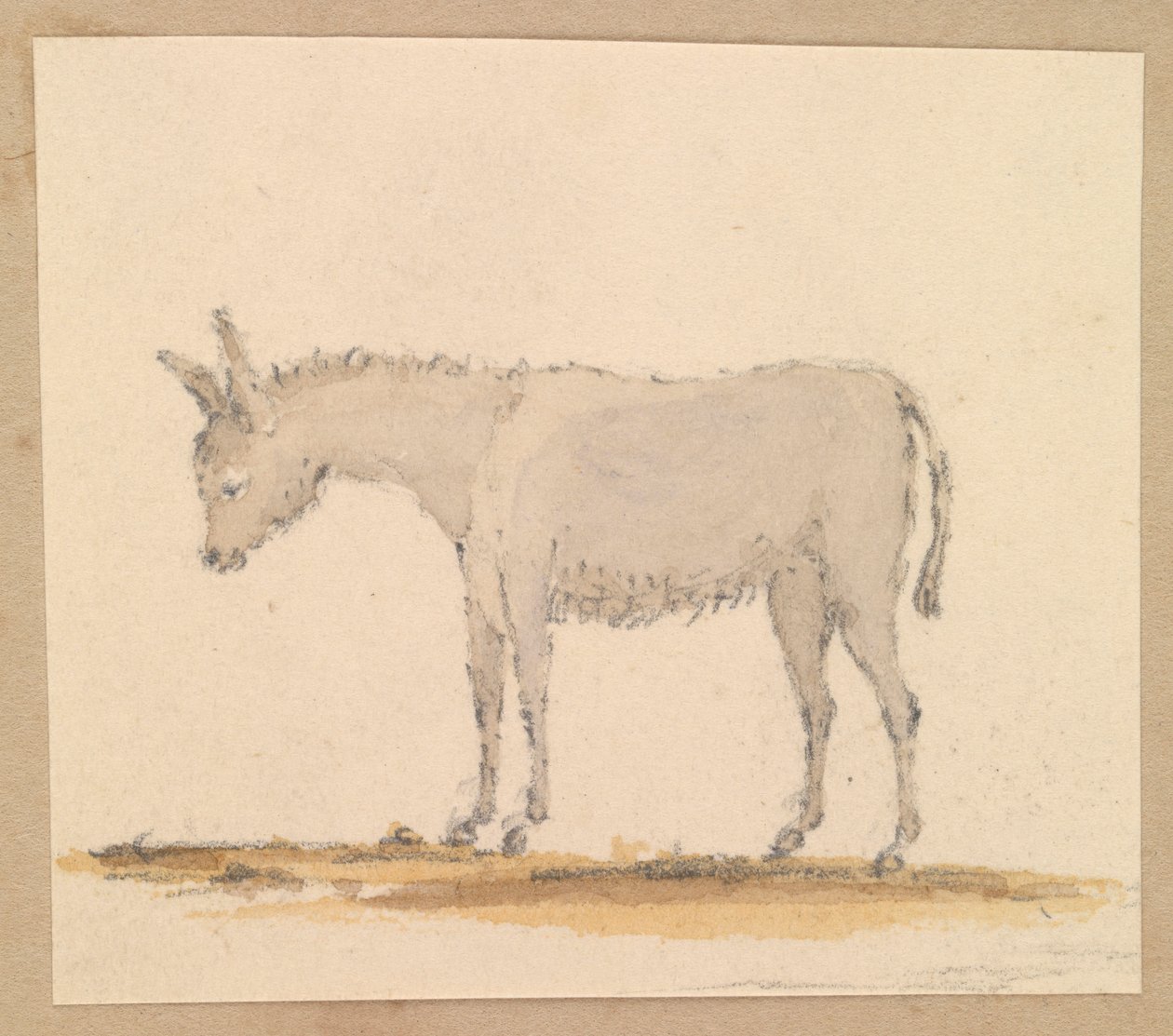 Studie van een ezel, c.1820 door Thomas Streatfeild