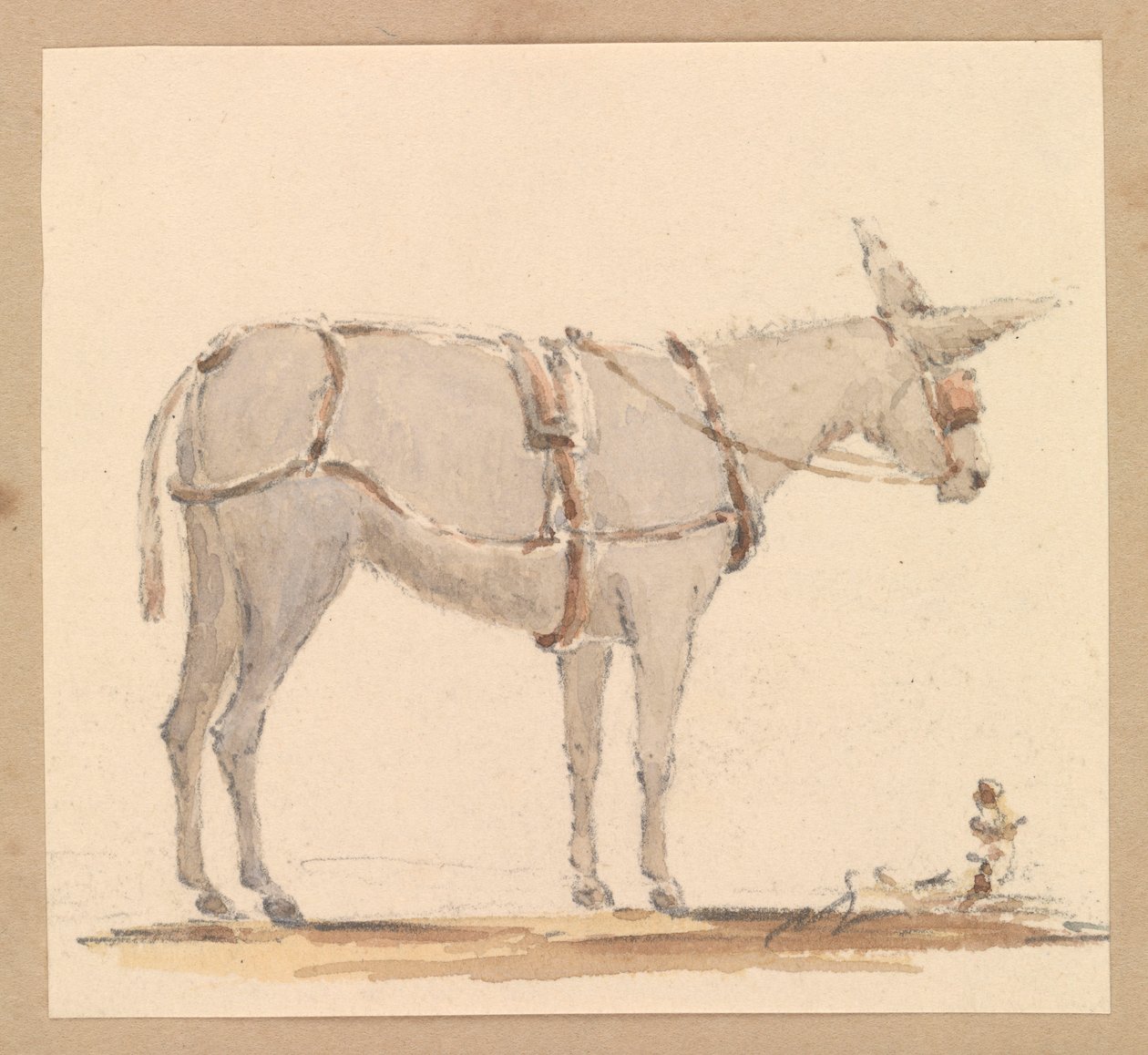 Studie van een ezel met hoofdstel en tuig, ca.1820 door Thomas Streatfeild