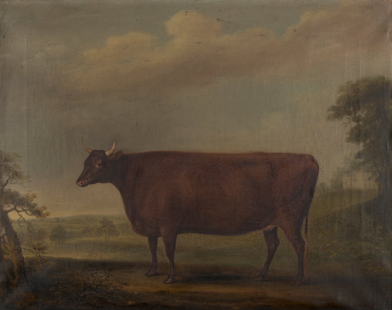 Rode Devon vaarsen in landschap door Thomas Weaver