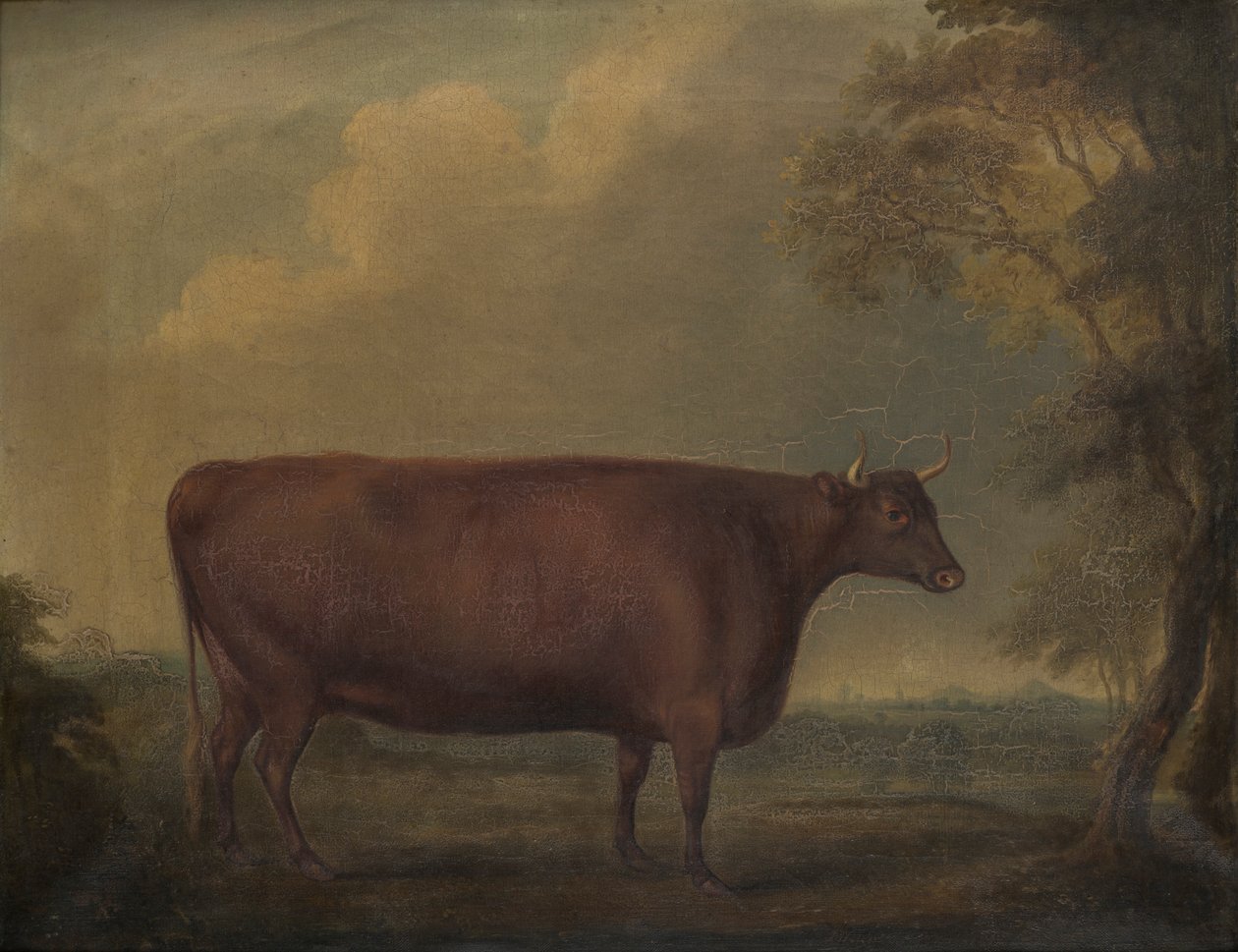 Rode Devon vaarsen in landschap door Thomas Weaver