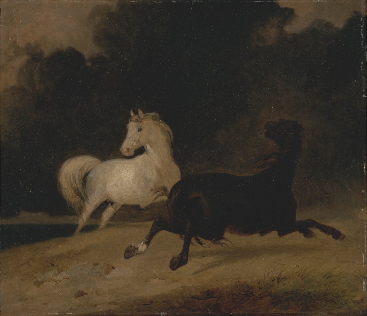 Paarden in een Onweersbui door Thomas Woodward