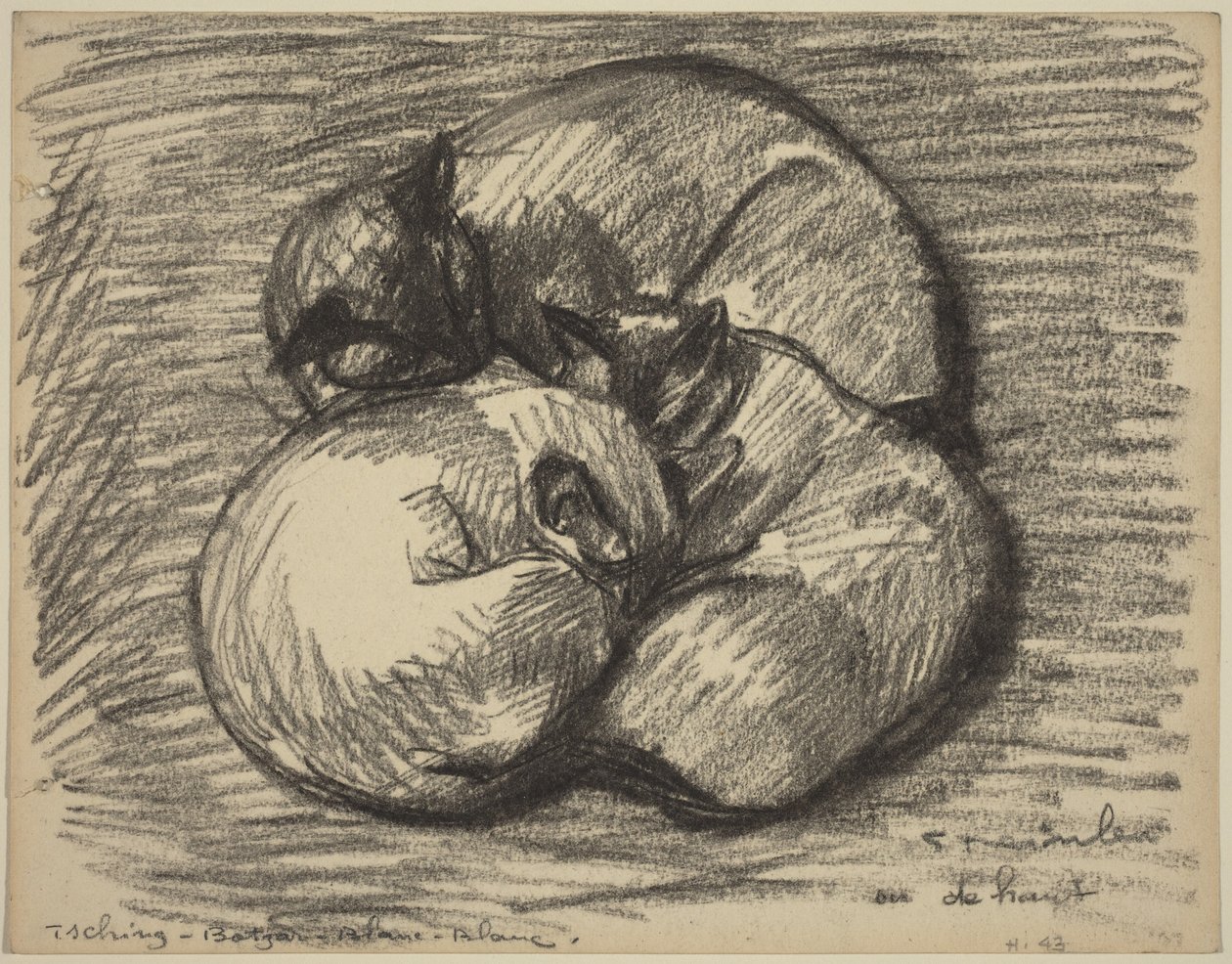 De katten: Tsching, Batzar en Blanc-Blanc door Théophile Alexandre Steinlen