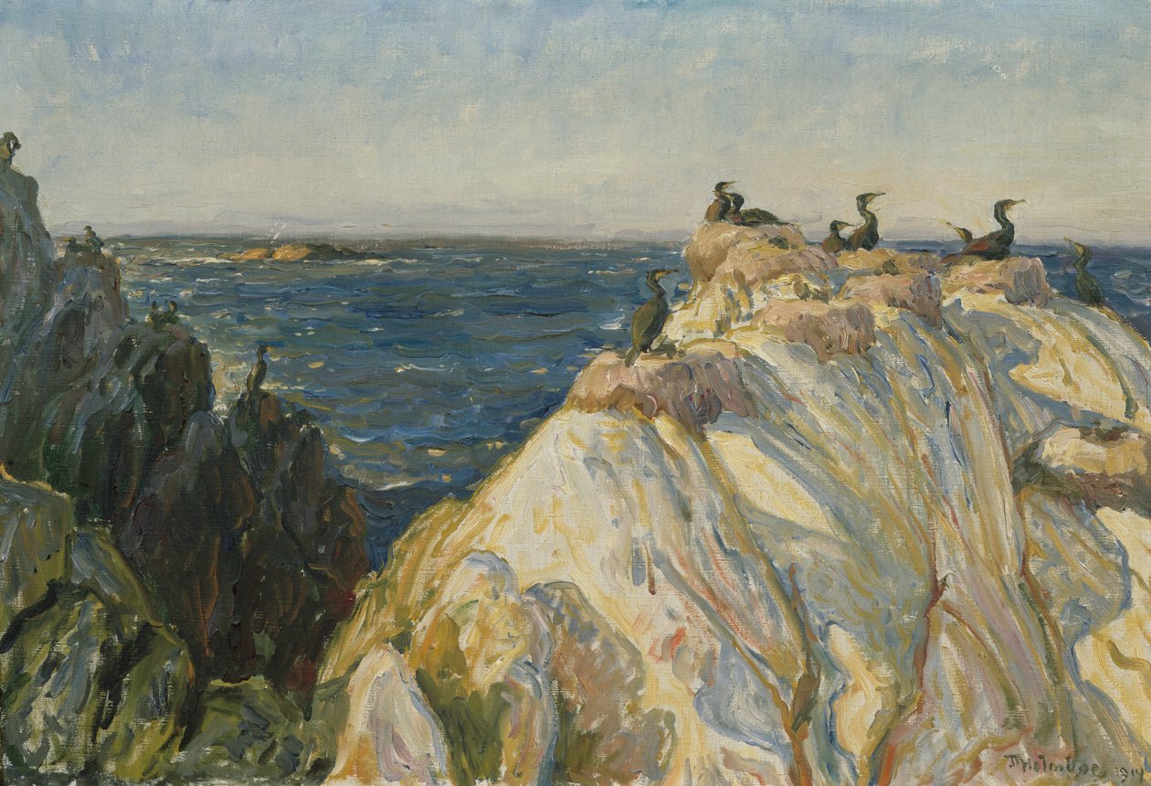 Zeevogel door Thorolf Holmboe