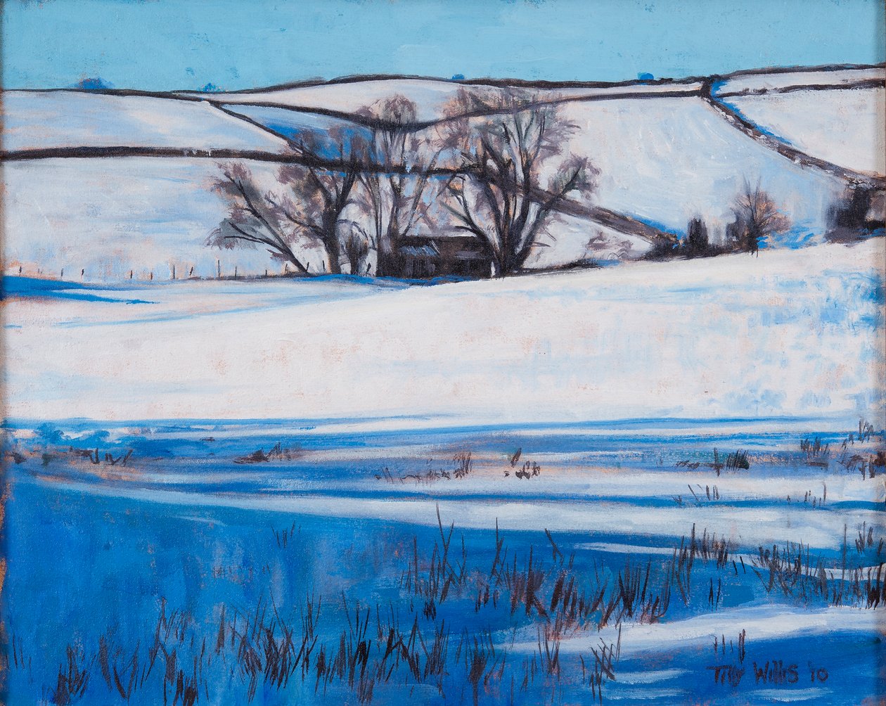 Sneeuwschaduwen, 2010 door Tilly Willis
