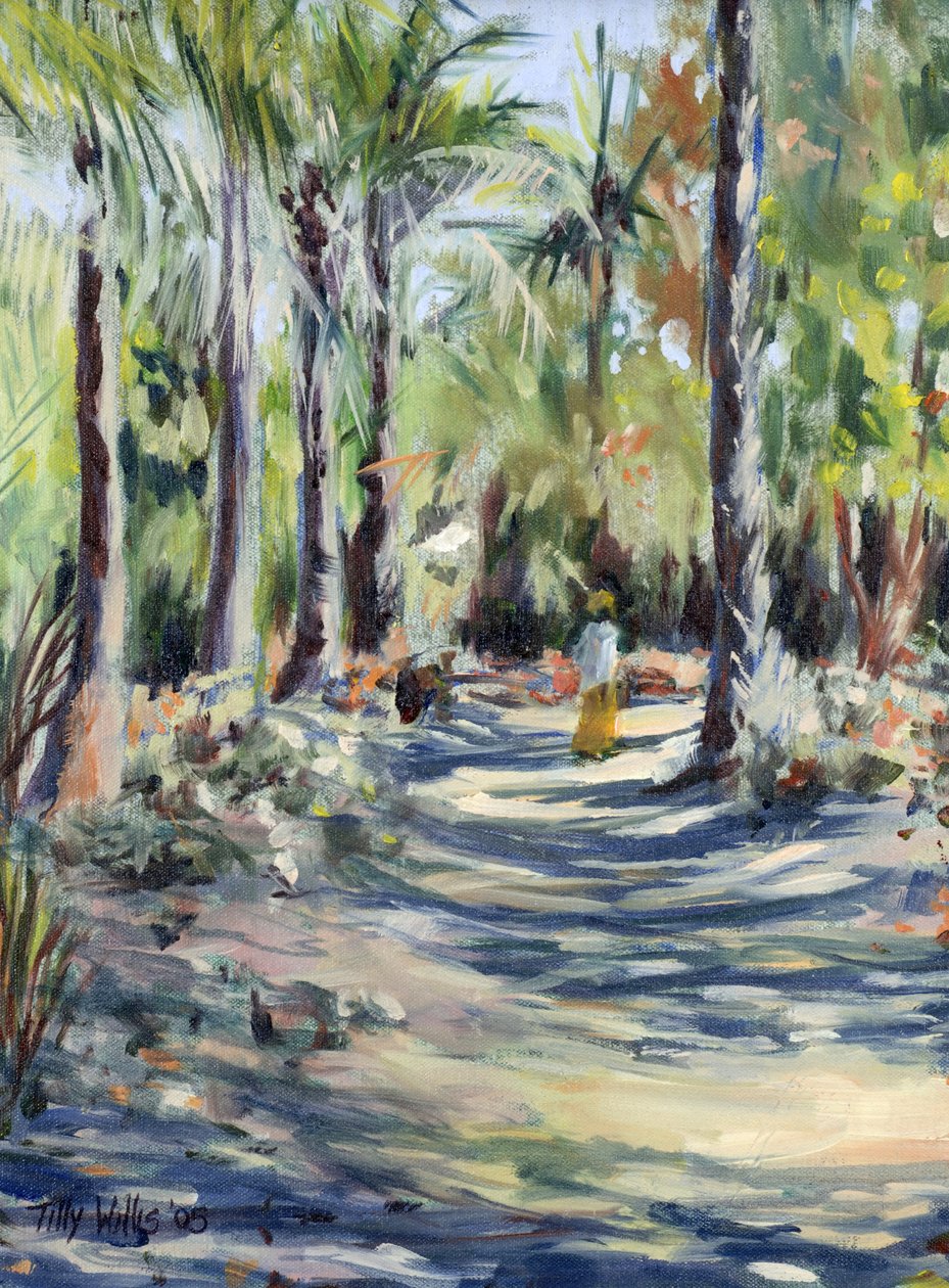 De Bush Road, 2005 door Tilly Willis