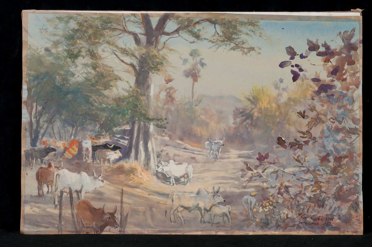 Vee, Jambughoda, 2009 door Tim Scott Bolton