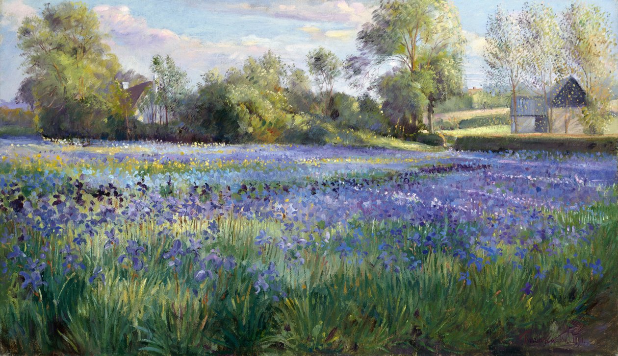 Gevlekt licht op het irisbloemenveld door Timothy Easton