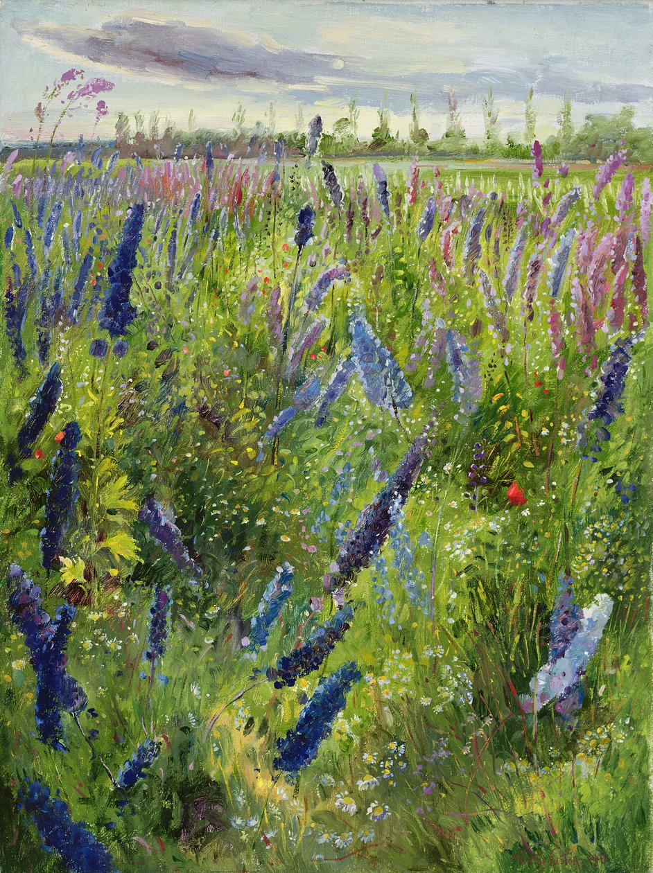 Ridderspoor en Opkomende Zon, 1991 door Timothy Easton