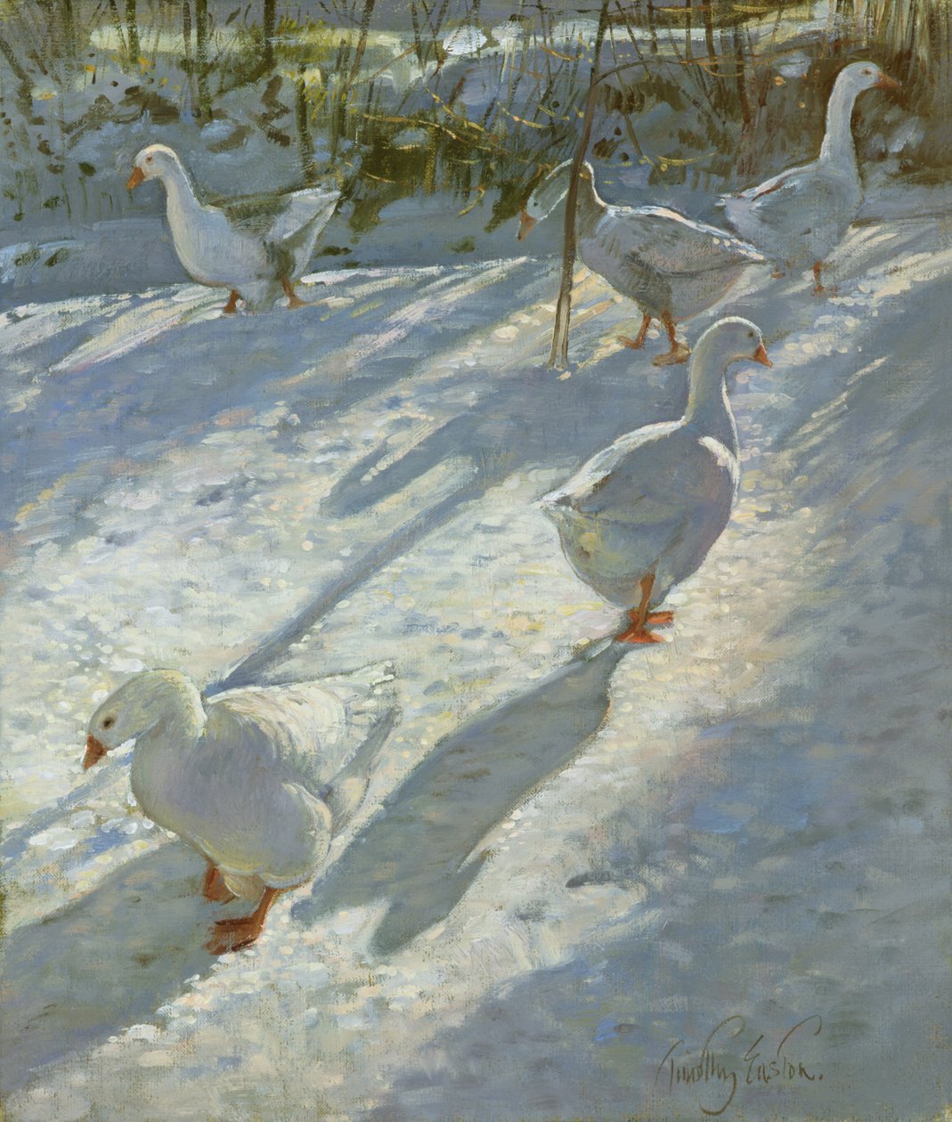 De helling verkennen door Timothy Easton