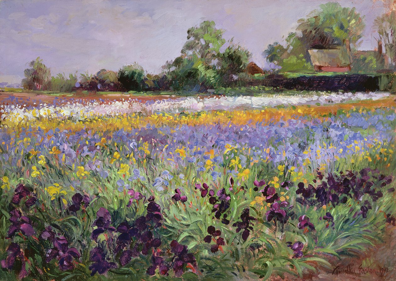 Irisveld en Twee Huisjes door Timothy Easton