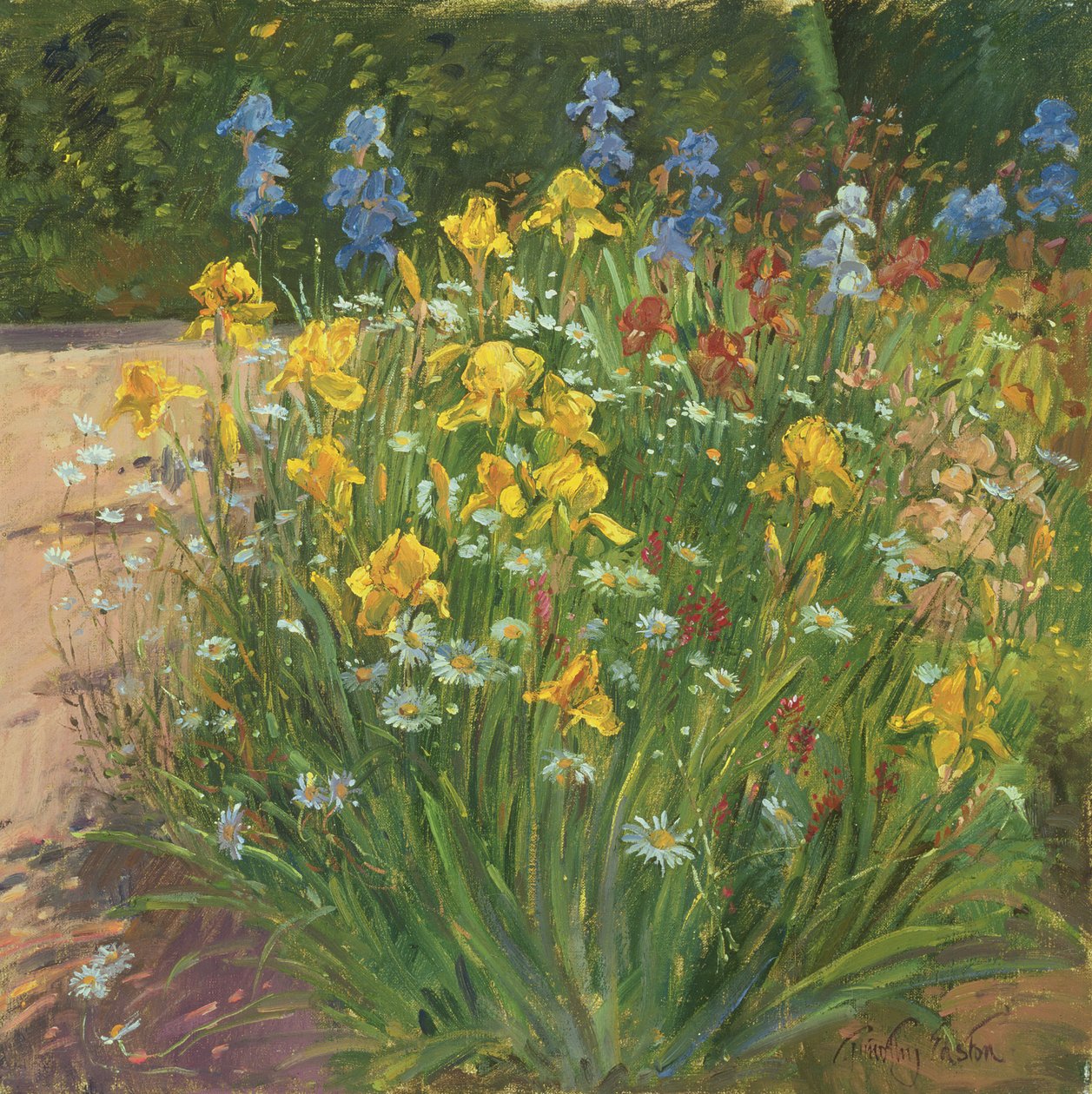 Margrieten tegen de irissen door Timothy Easton