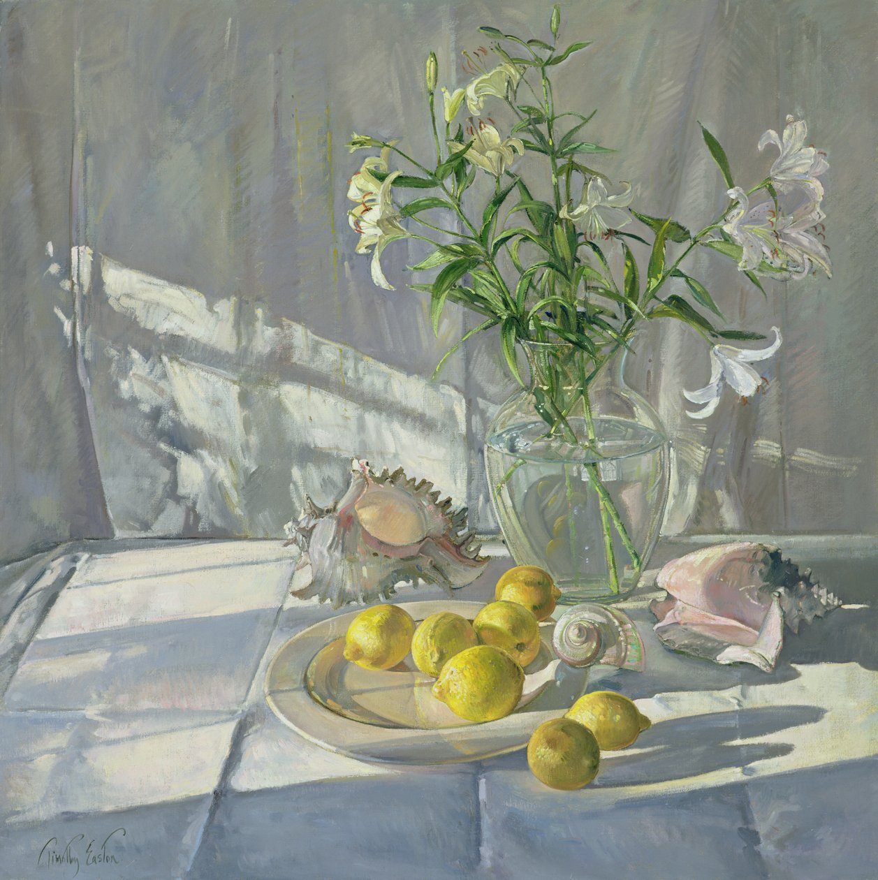 Reflecties en Schaduwen door Timothy Easton
