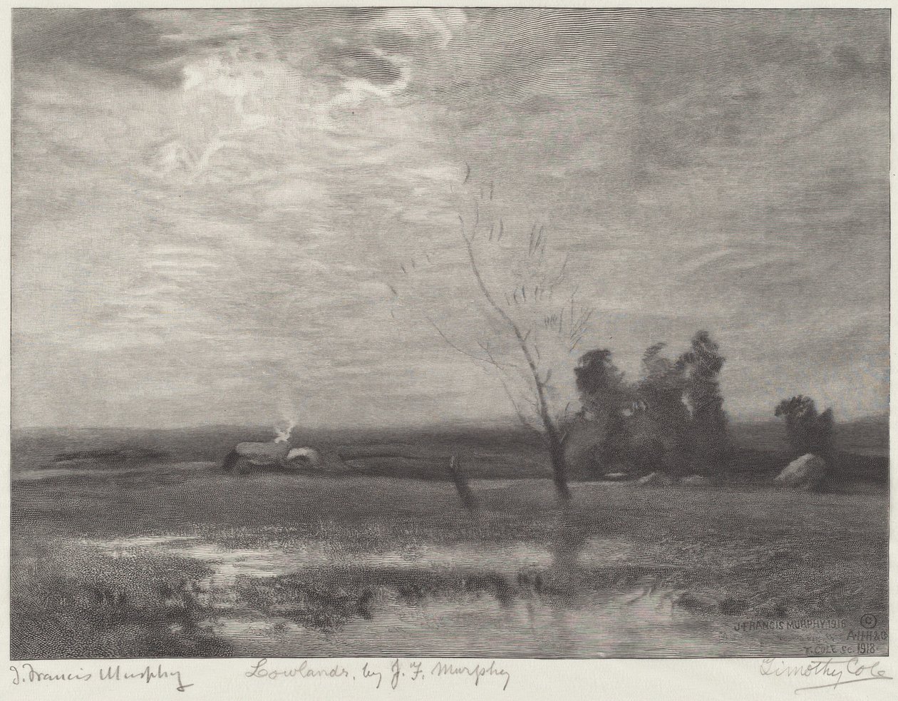 Laaglanden door Timothy Cole after John Francis Murphy