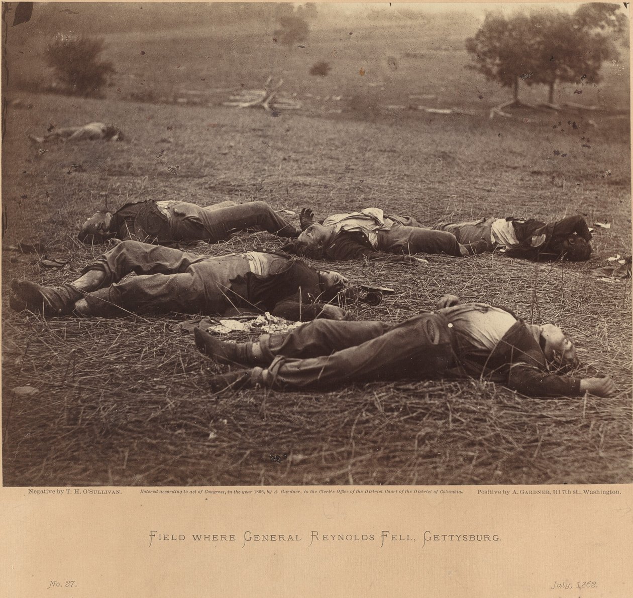 Veld Waar Generaal Reynolds Viel, Gettysburg, 5 Juli 1863 door Timothy H. O
