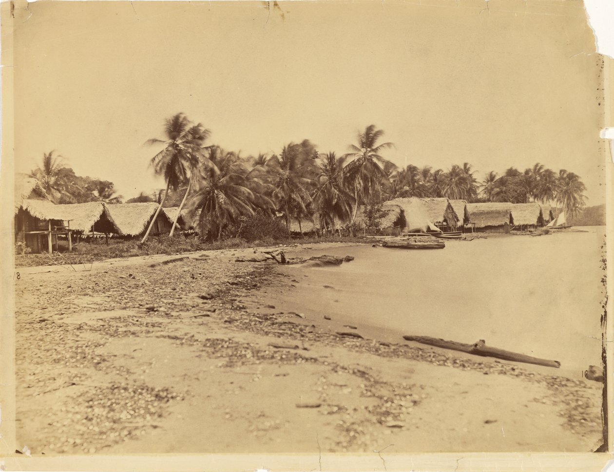 [Hutten, palmbomen en strand, Itshumus in Darién (Panama)] door Timothy H. O