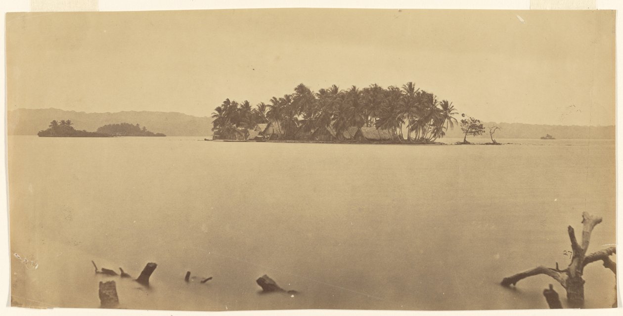 [Landengte van Darién (Panama)] door Timothy H. O