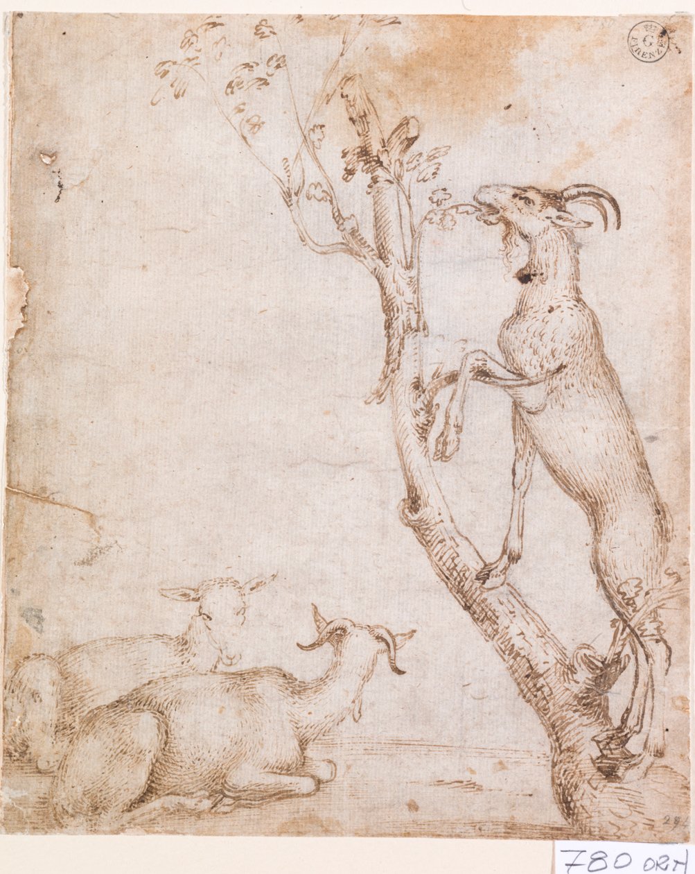 Geiten in de wei door Titian (c.1488 1576)