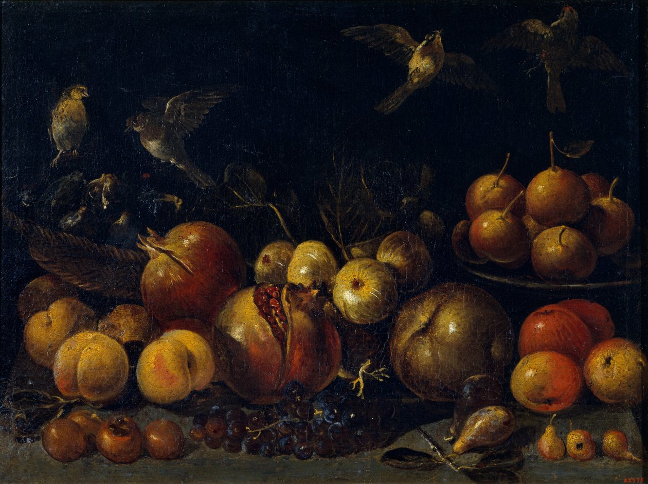 Stilleven met Granaatappels, Appels, Peren, Druiven, Vijgen en Vogels door Tommaso Realfonso