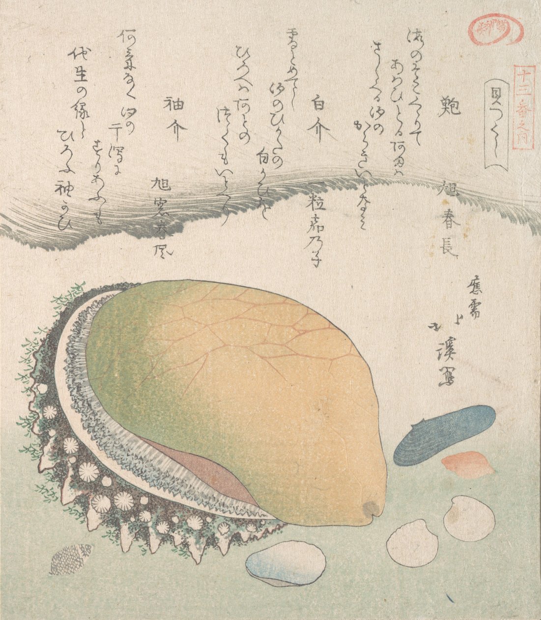 Awabi-oorschelp en diverse schelpen, 19e eeuw door Totoya Hokkei