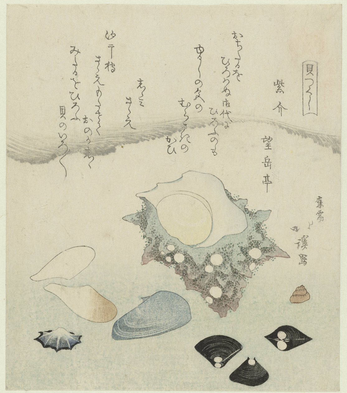 Paarse schelp, zoetwater venusschelpjes en een tulbandschelp door Totoya Hokkei