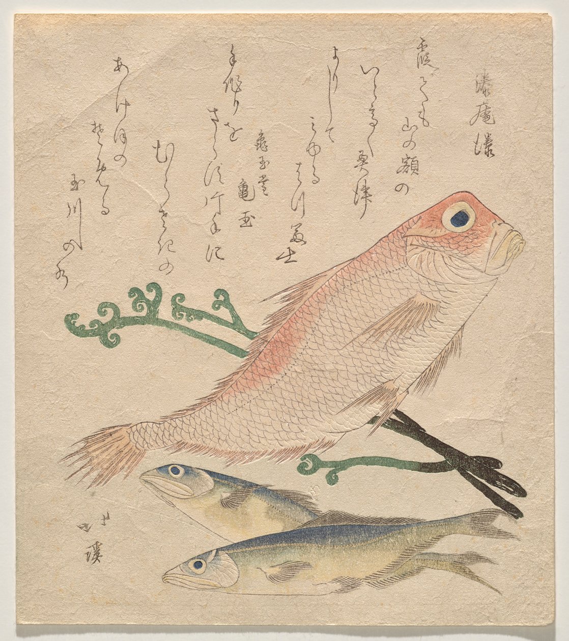 Roze zeebrasem (shiro-amadai) en twee kleine forellen (ai) door Totoya Hokkei