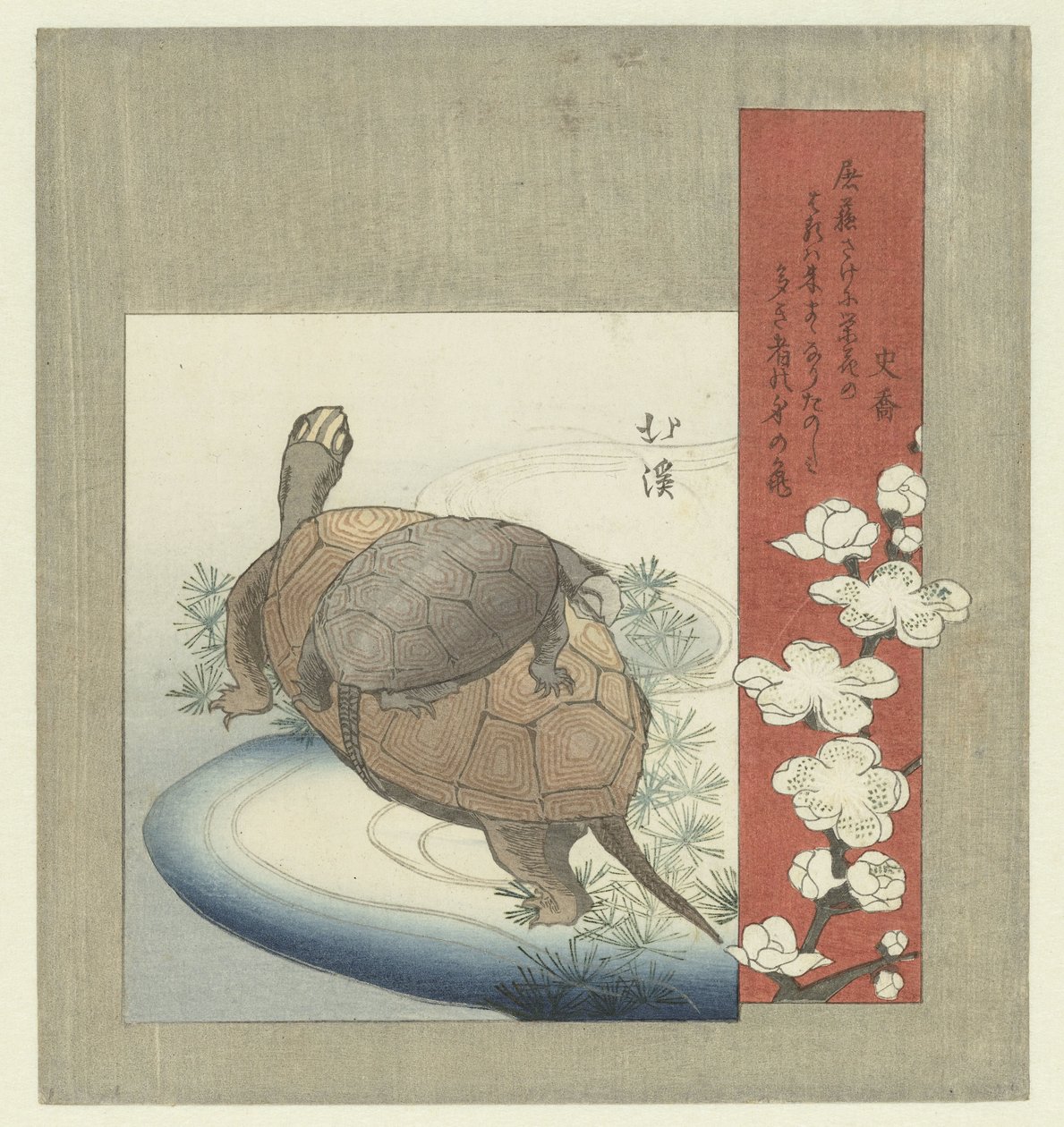 Schildpadden door Totoya Hokkei
