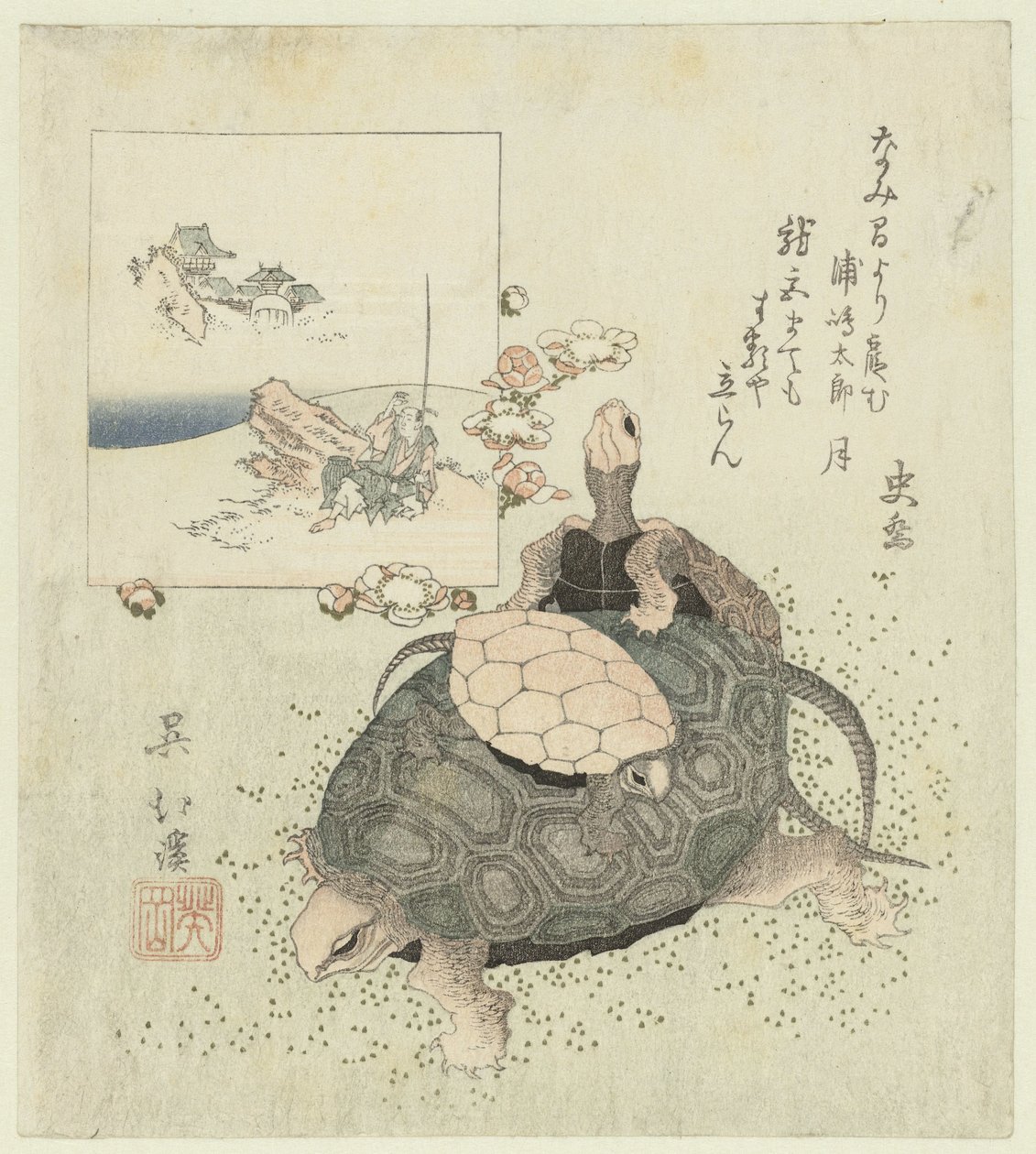 Schildpadden door Totoya Hokkei