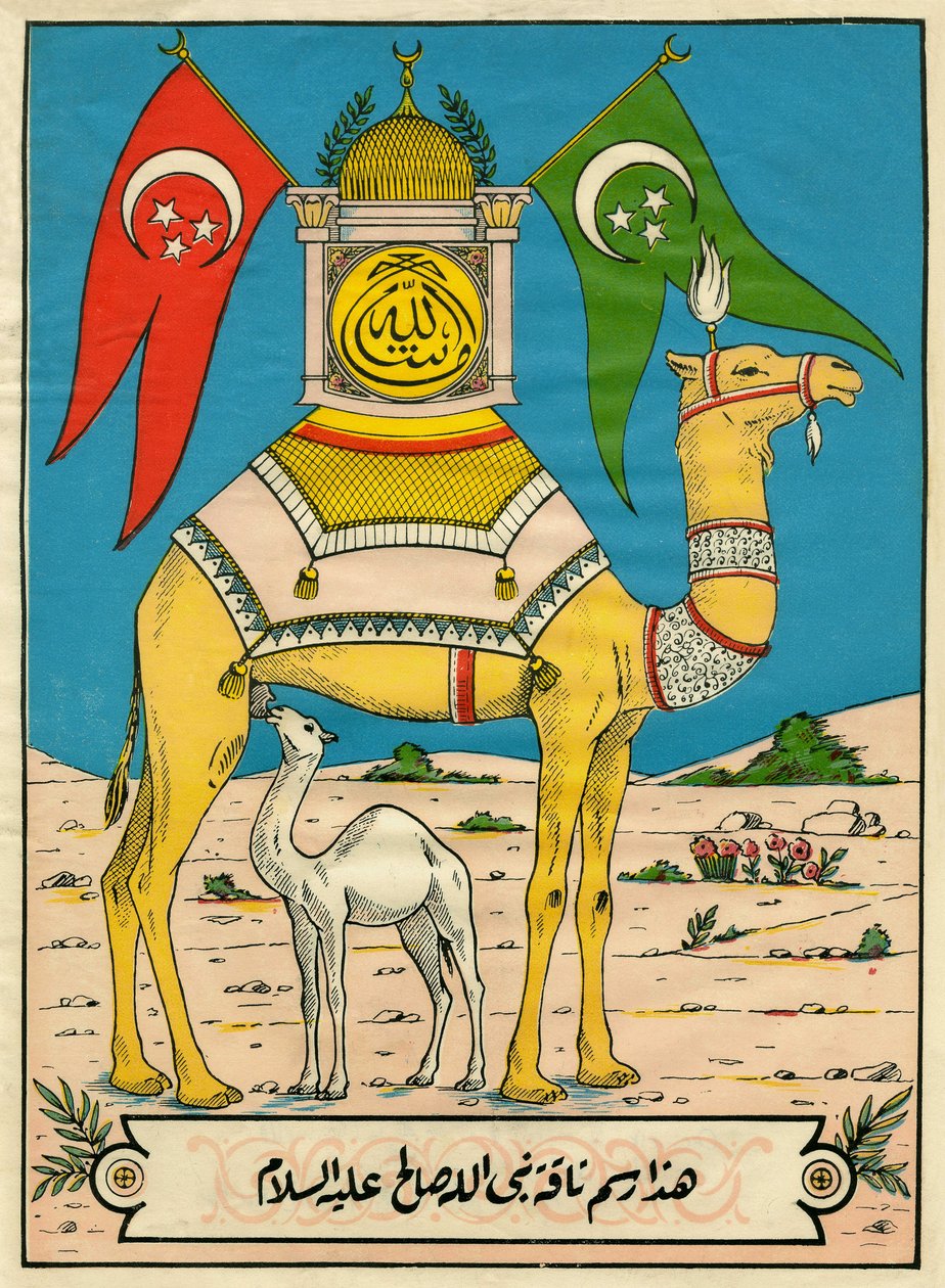 De kameel van Saleh, Sura 7, vers 71: (...) deze kameel van God is voor u een teken (...). Populaire beeldvorming, Tunesië door Tunisian School