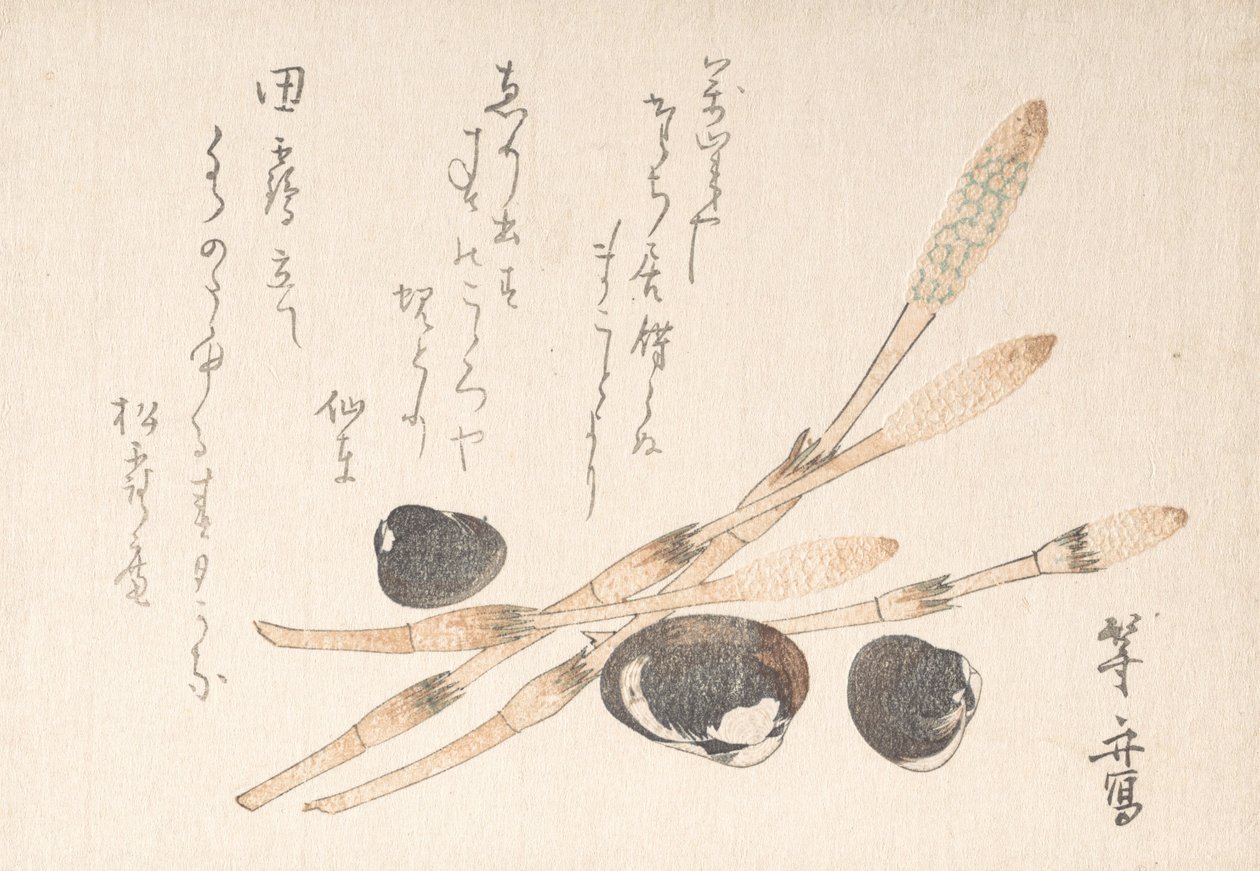 Tsukushi-plant en Shijimi-schelpen door Uematsu Toshu