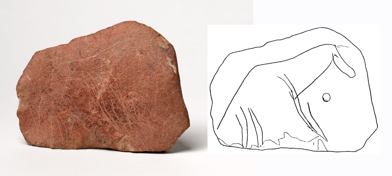 Paardmotief gegraveerd op een kalksteenplaat door Unbekannt Unbekannt