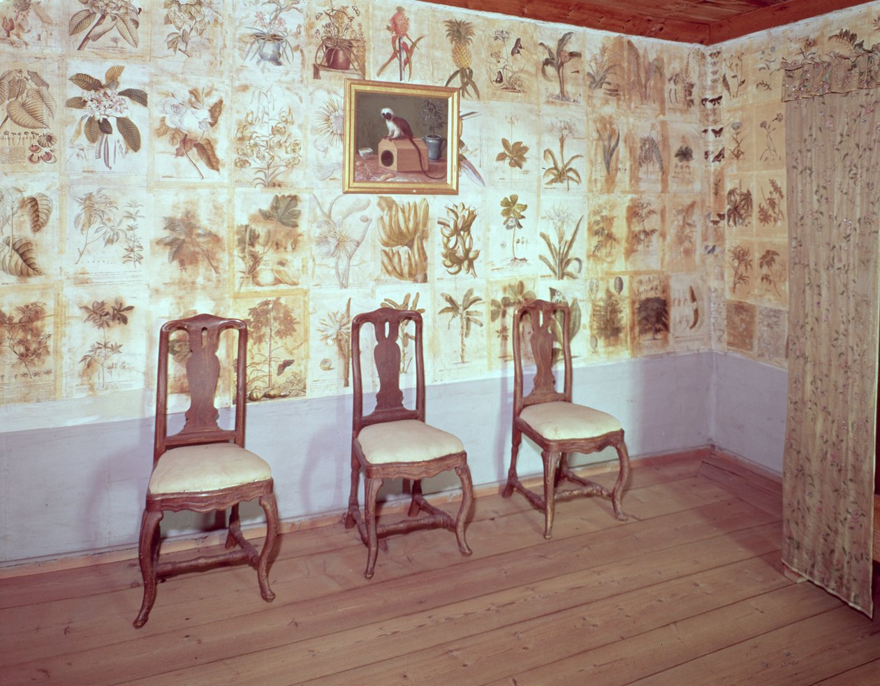 Interieur met botanisch behang van het huis van Carl Linnaeus, Hammarby, Uppsala, Zweden door Unbekannt Unbekannt