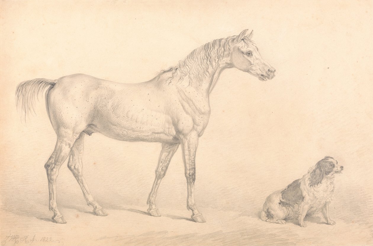 Portretten van een grijs paard en een zwart-witte spaniël, eigendom van de Right Honorable C. Arbu... door Unbekannt Unbekannt